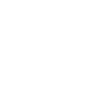 Lubrificanti per autotrazione